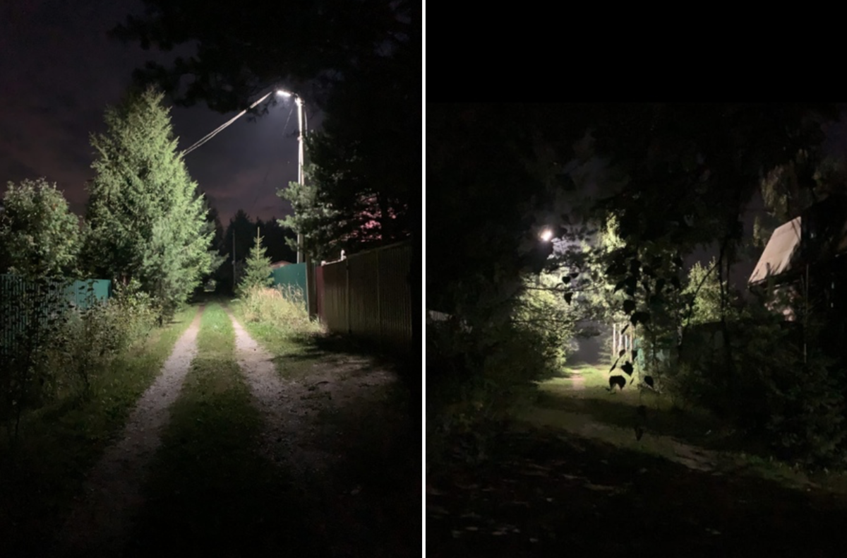 Фотографии не очень, зато мои! И подмосковные вечера мои. Прошлым летом дело было