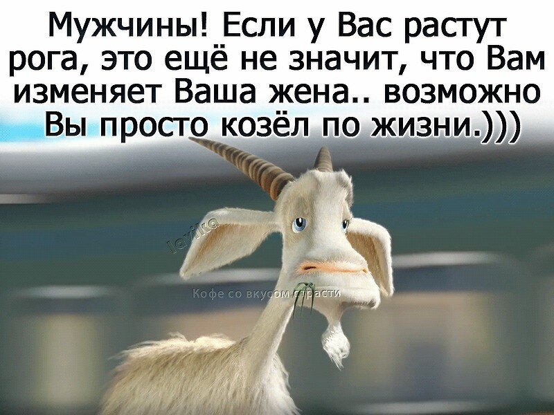 Все мужики козлы фото