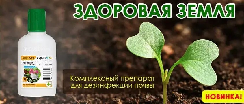 Здоровая земля