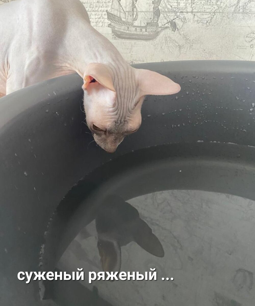 Когда плохо и гадать начнешь