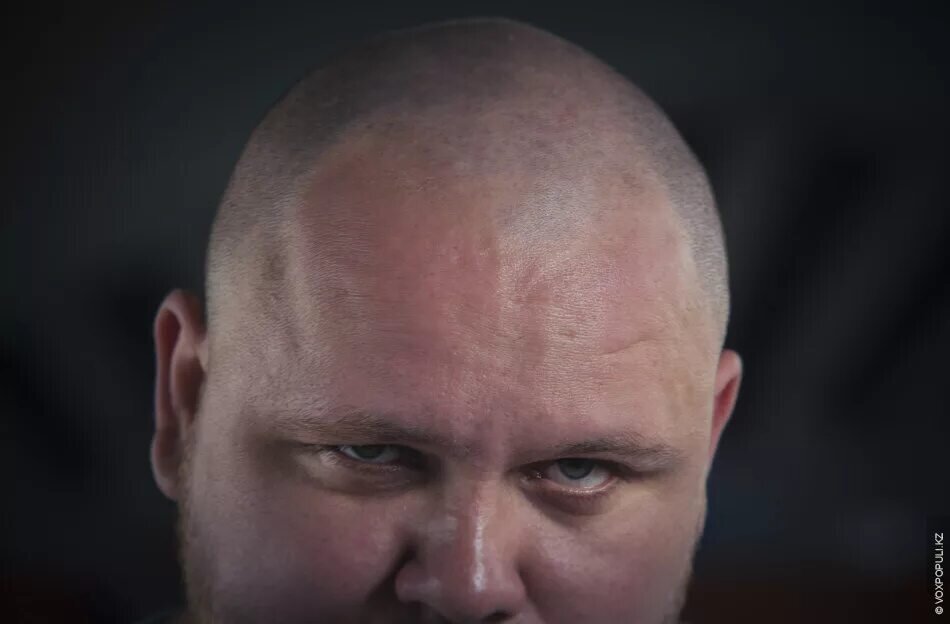 Картинка из свободного доступа