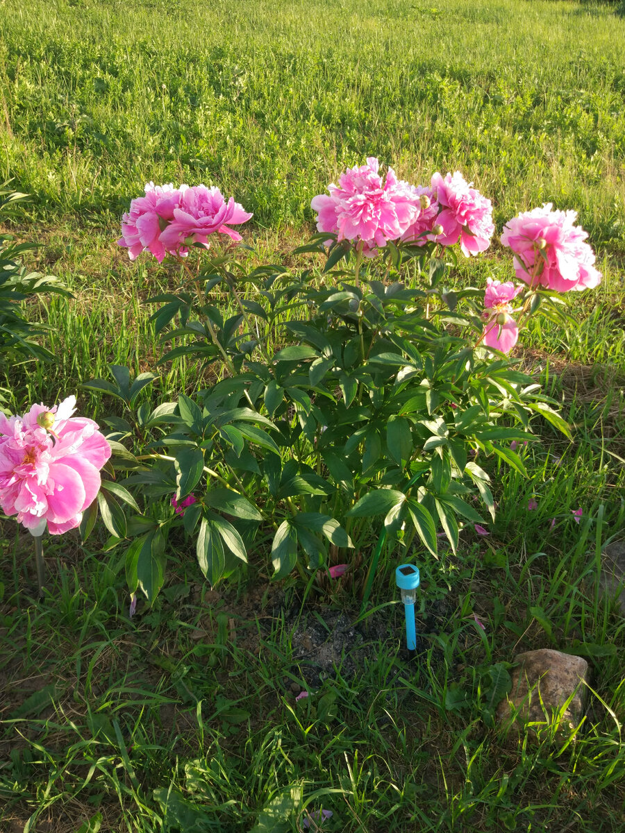 Фото автора канала.