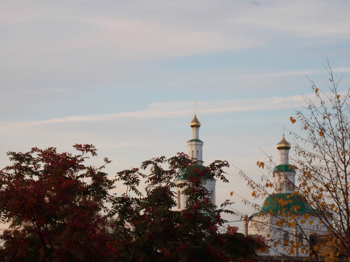 Фото автора. Личный архив 📁