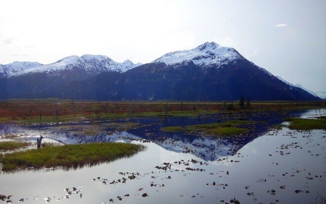 Фото veterperementur.ru