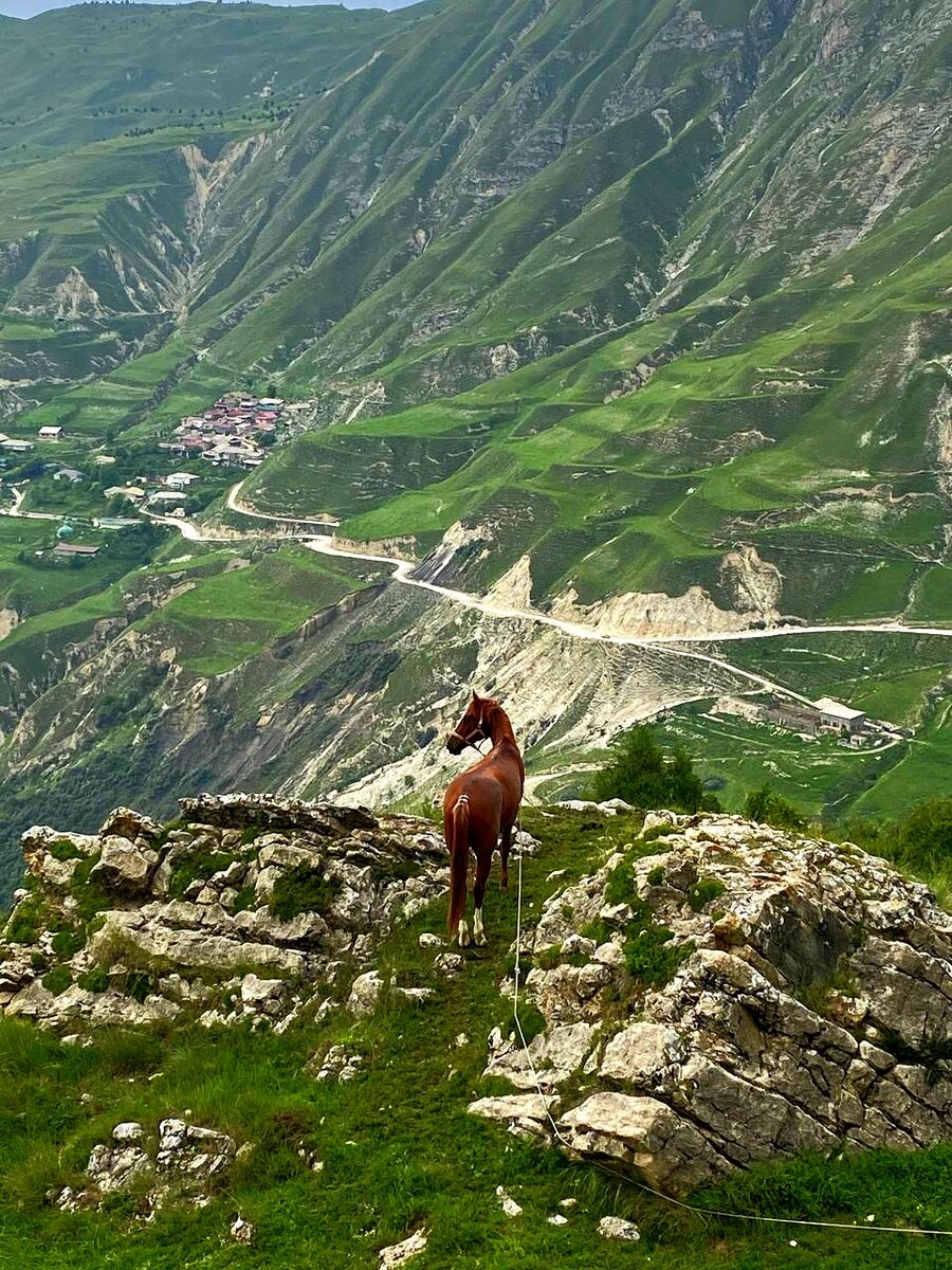 Все любуются горами