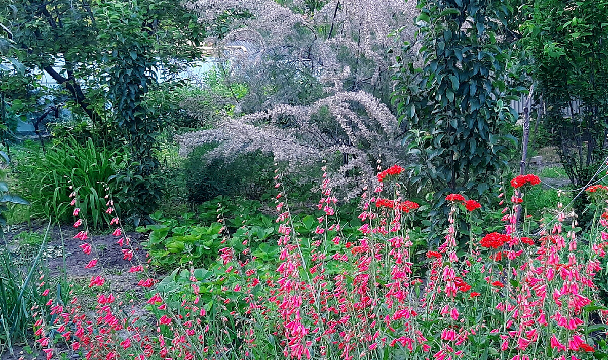 Общий вид, 08.06.2023