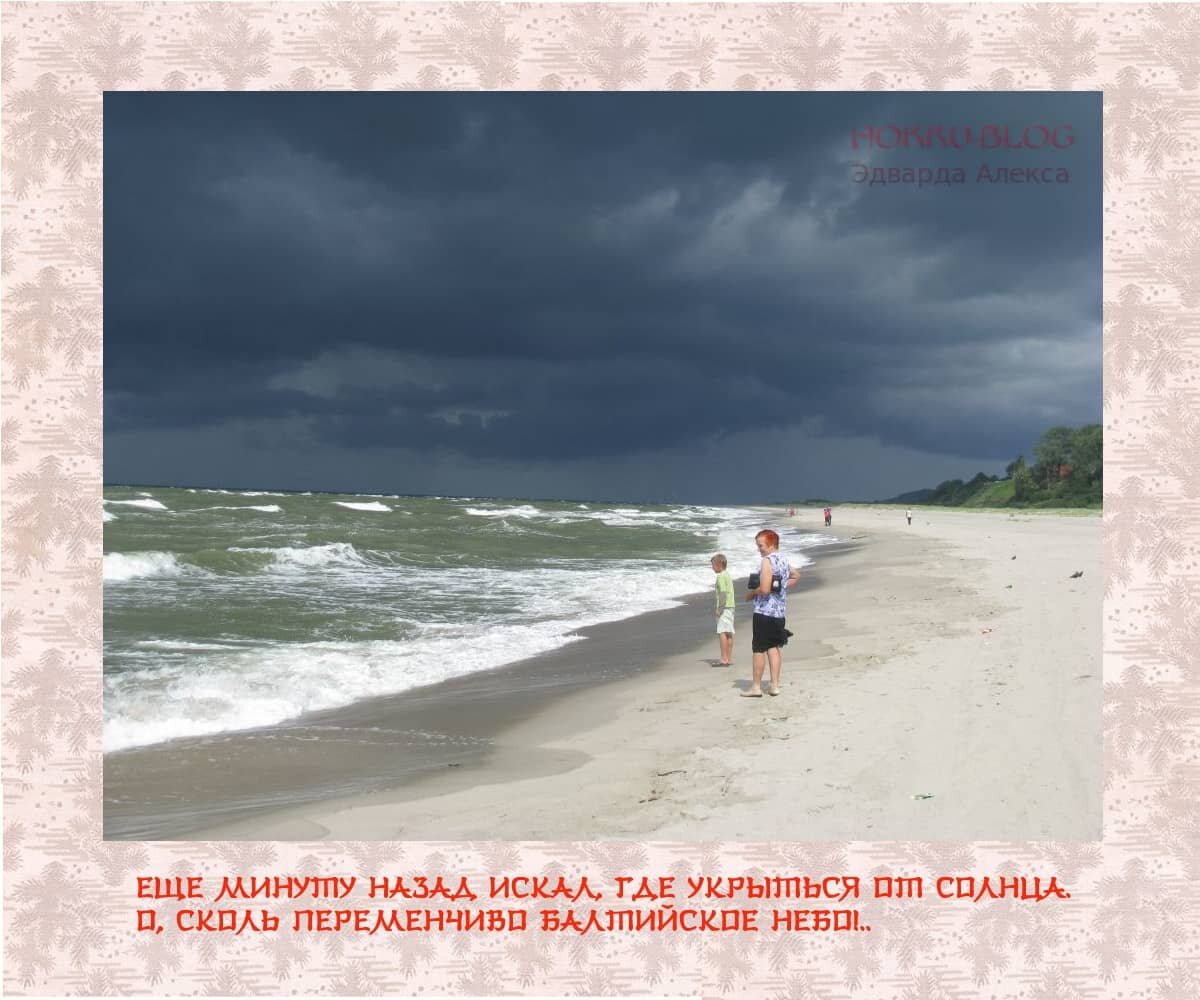 Хокку          Балтика           Море           Небо    