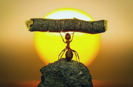 Каждому виду деятельности соответствует определенное качество характера.