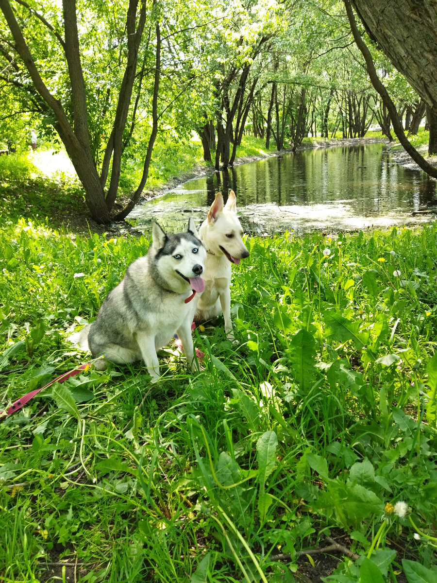 Мои красотки💕