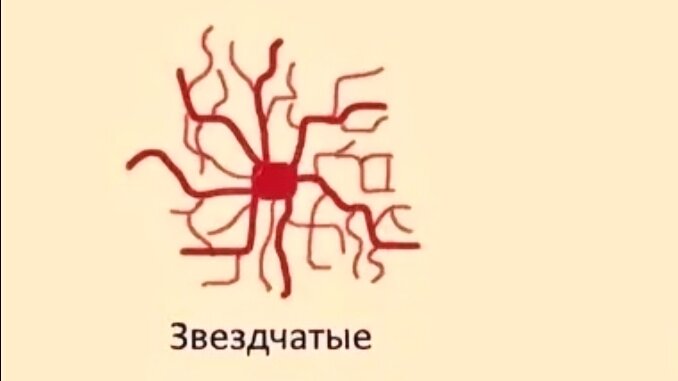 Такие вылазят не просто так, и их нельзя оставлять без внимания 