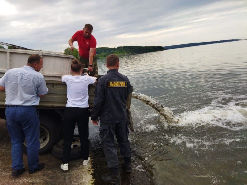 Саранск Сурское водохранилище