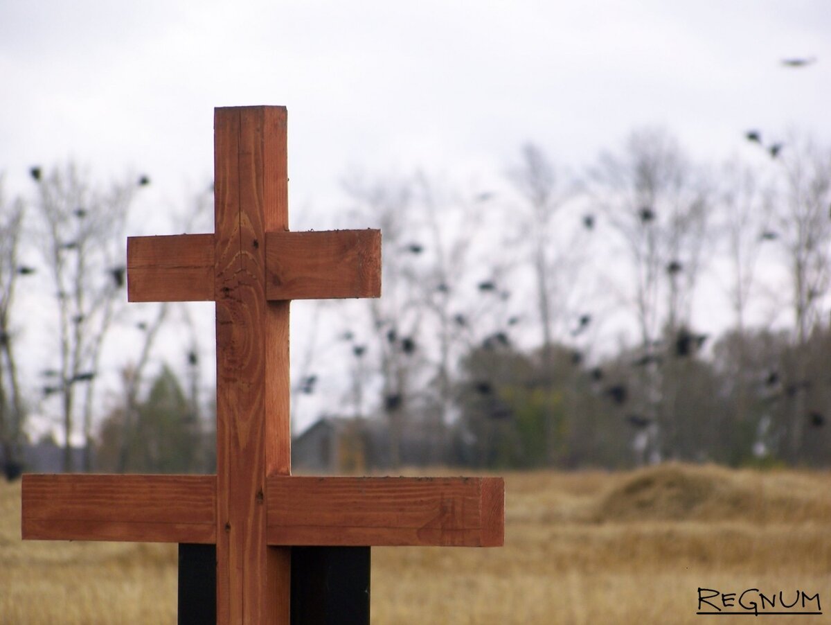    Светлана Шаповалова © ИА REGNUM