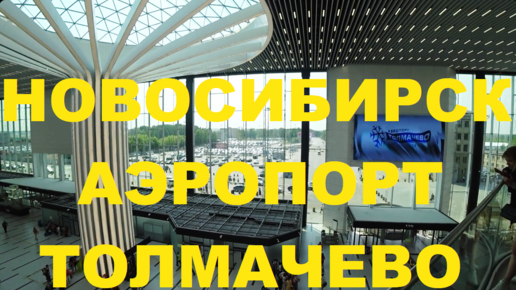 Толмачево проект аэропорта новосибирск