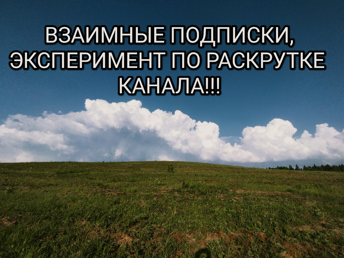 Фото от 04.06.23г Пермский край.