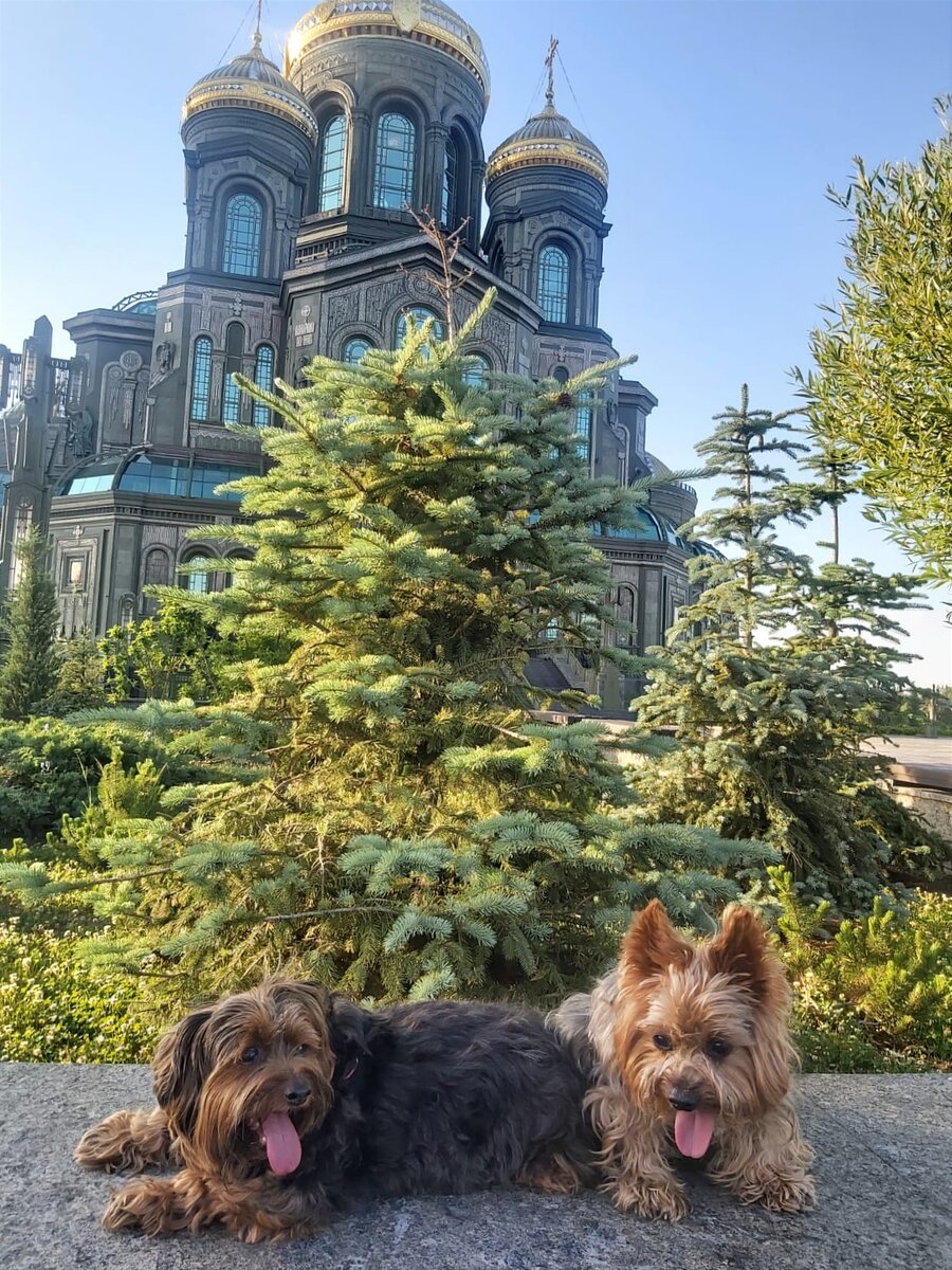 Ужасно жарко, но красота кругом. 