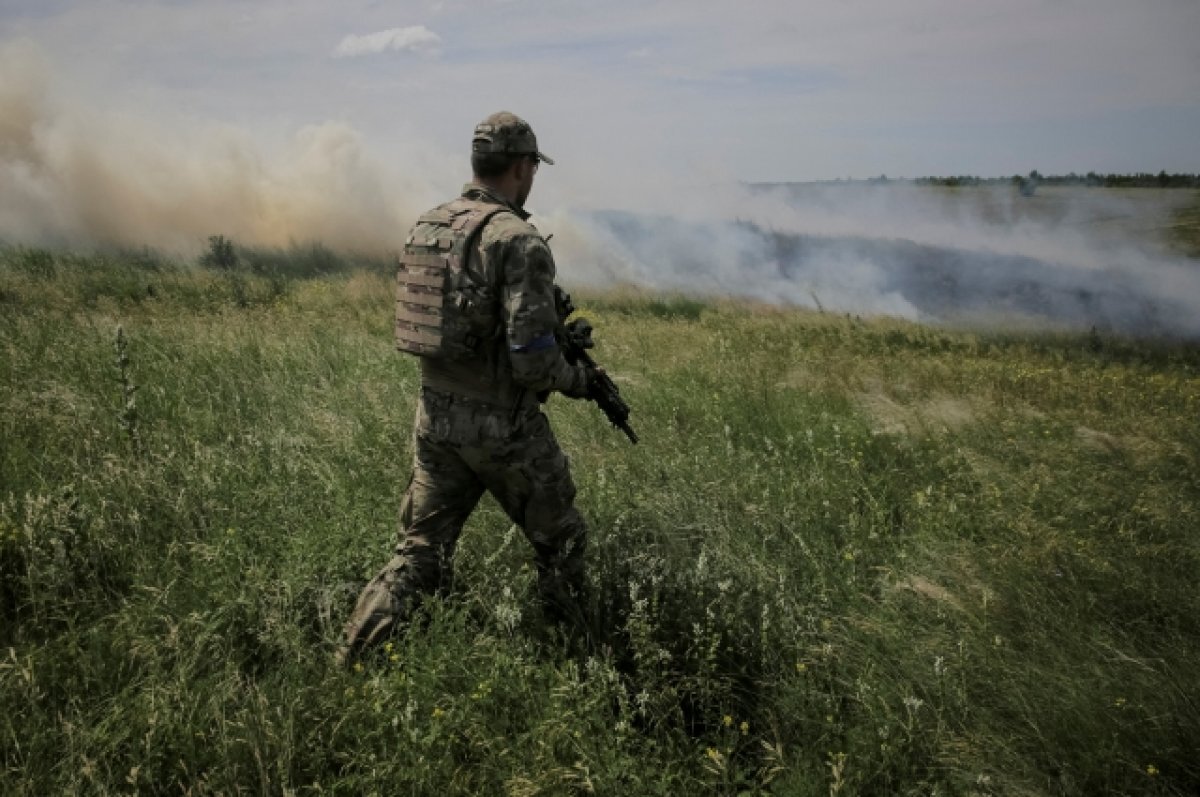 Поля на Запорожском направлении в зоне СВО усеяны разлагающимися трупами украинских солдат.