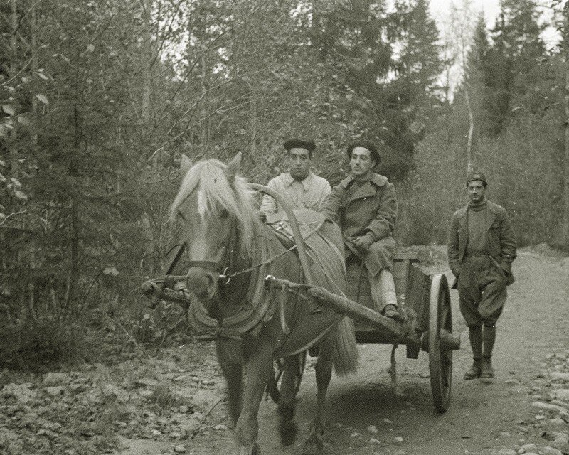 Итальянцы в северном лесу. Архивное фото из открытых источников.