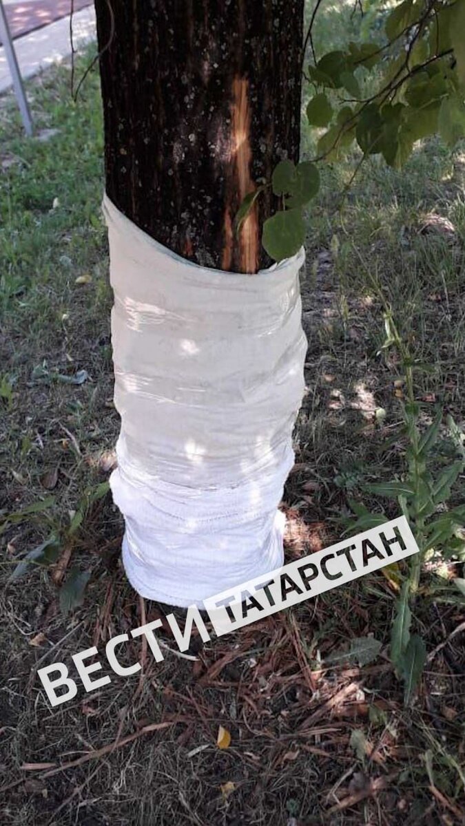 -1-2