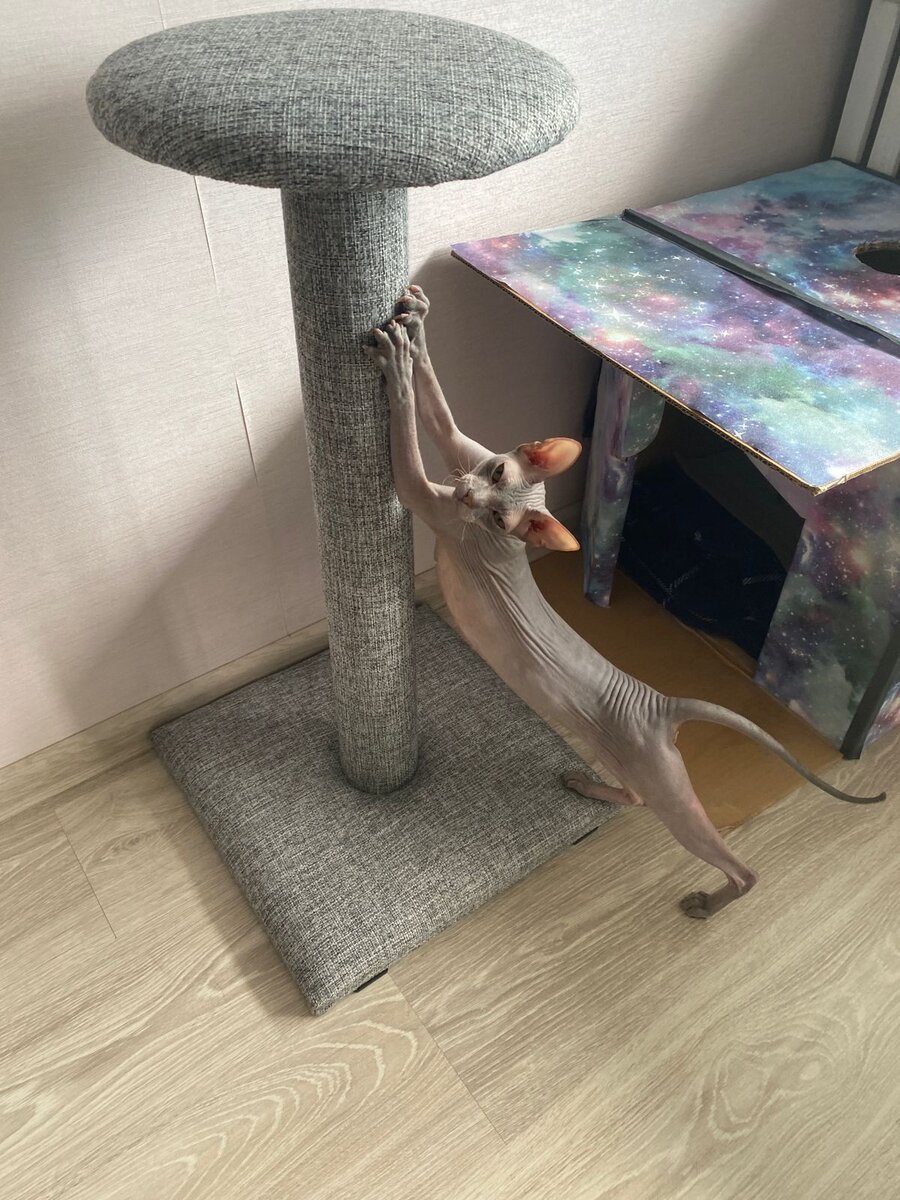 Хорошо то как! 