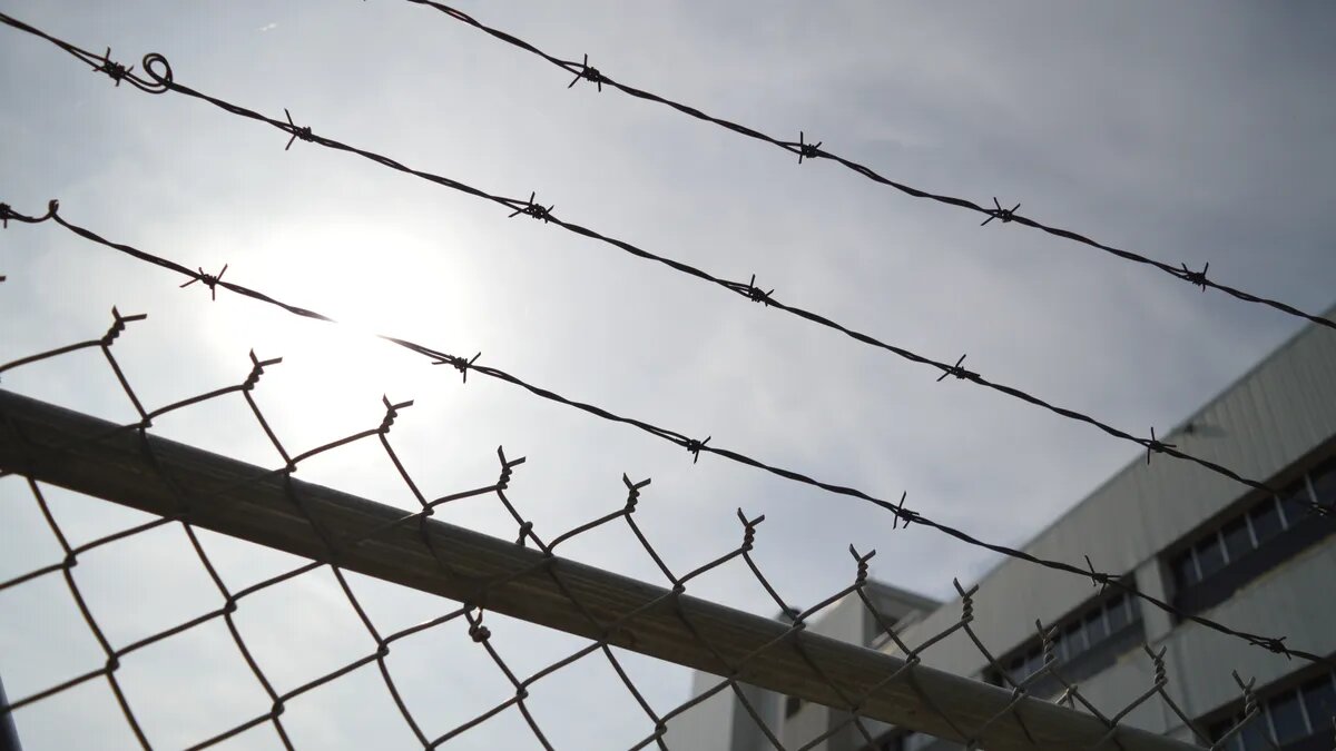 Согласно законопроекту, не все осужденные смогут заключить контракт с Минобороны. Фото: Pxfuel.com