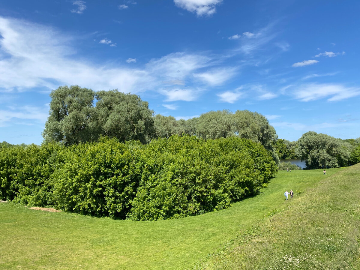 Фото автора. Живописные берега Москвы-реки 