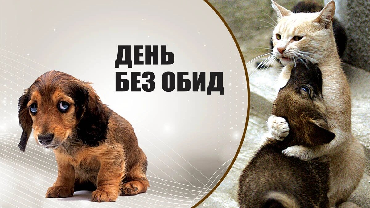 День без обид. Иллюстрация: «Весь Искитим»