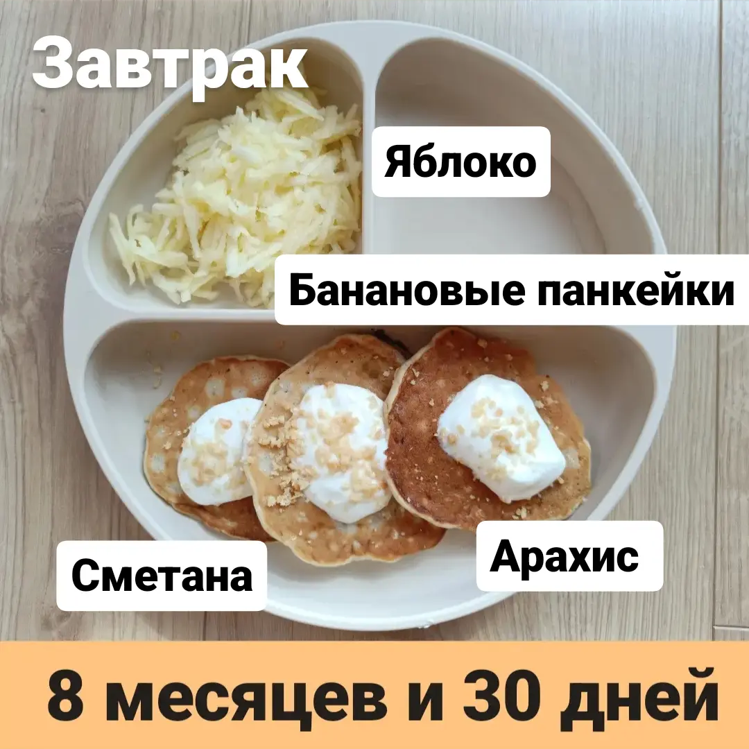 Пример тарелки в 8 месяцев 