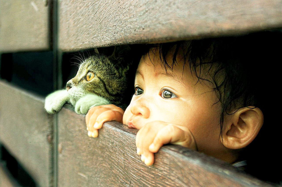 Источник фото: wp-s.ru