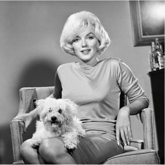 Тётя Моня: "Не спится, мальчики и девочки? Может по рюмочке?" (фотоисточник нейросеть)