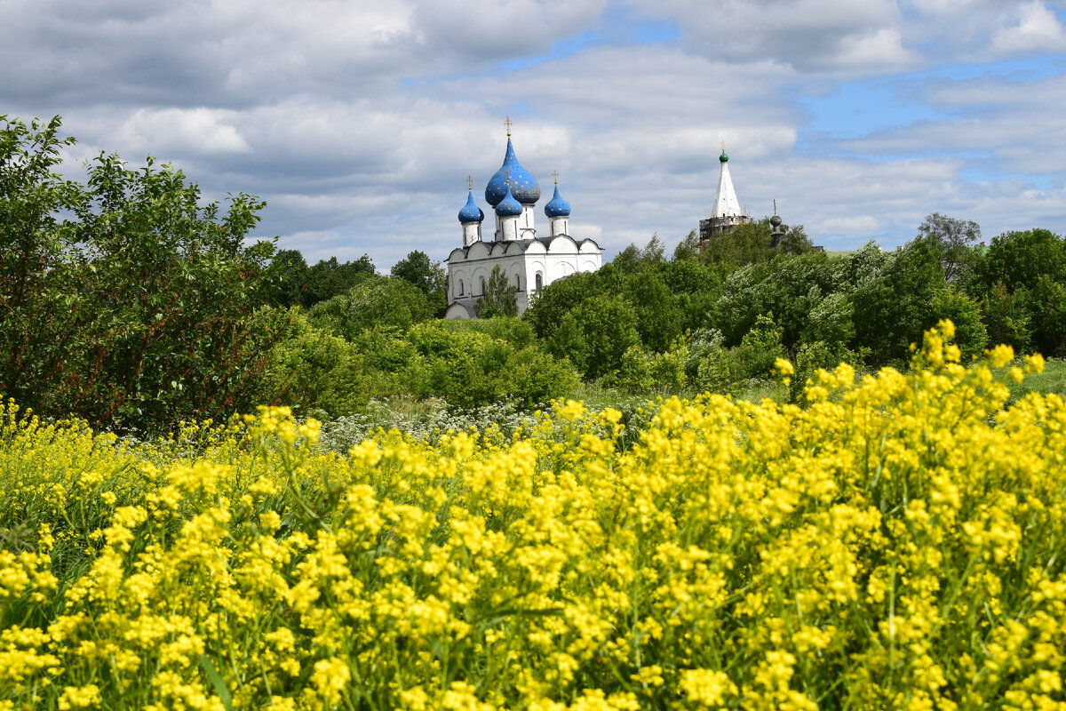 Москва суздаль