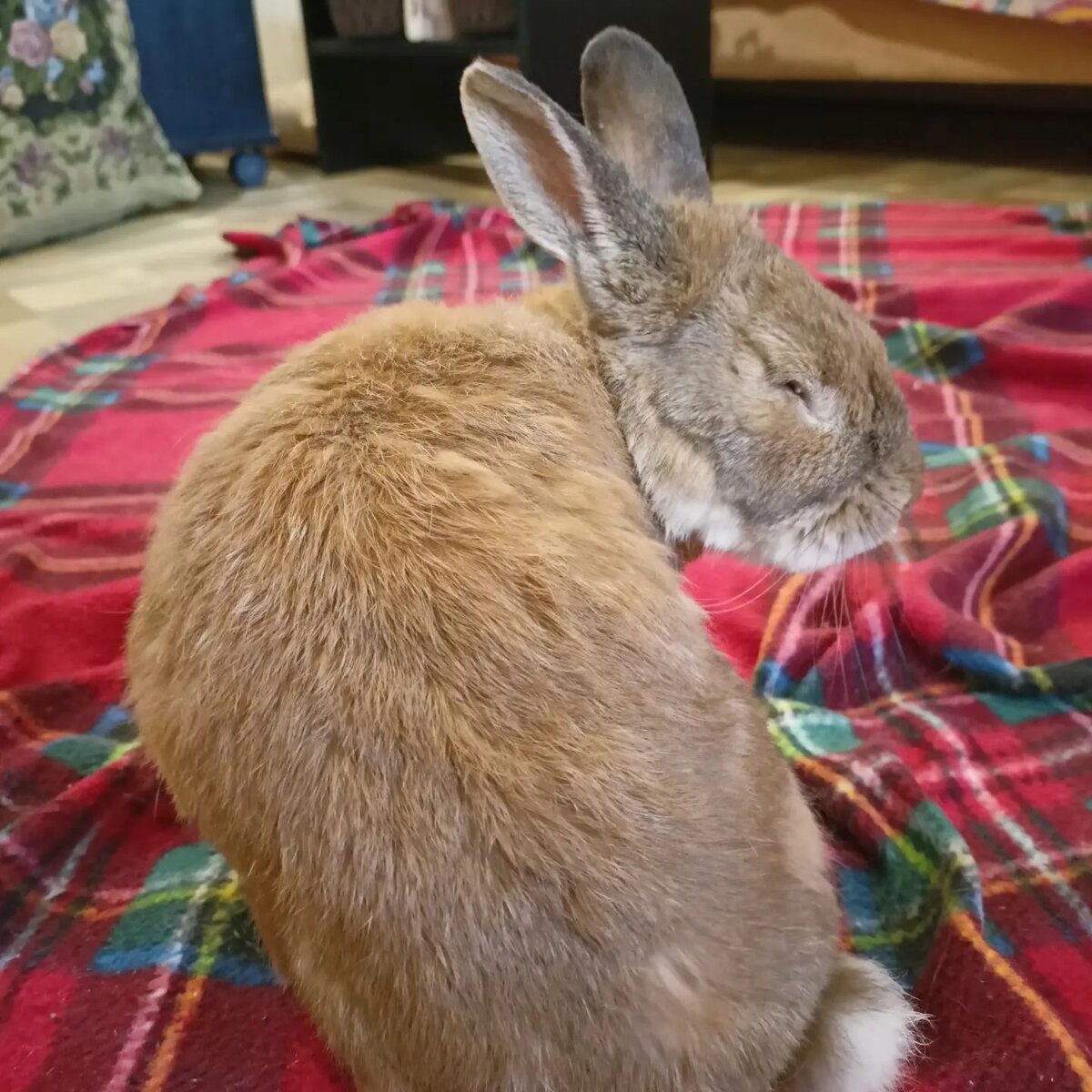 Недовольный Ирискин