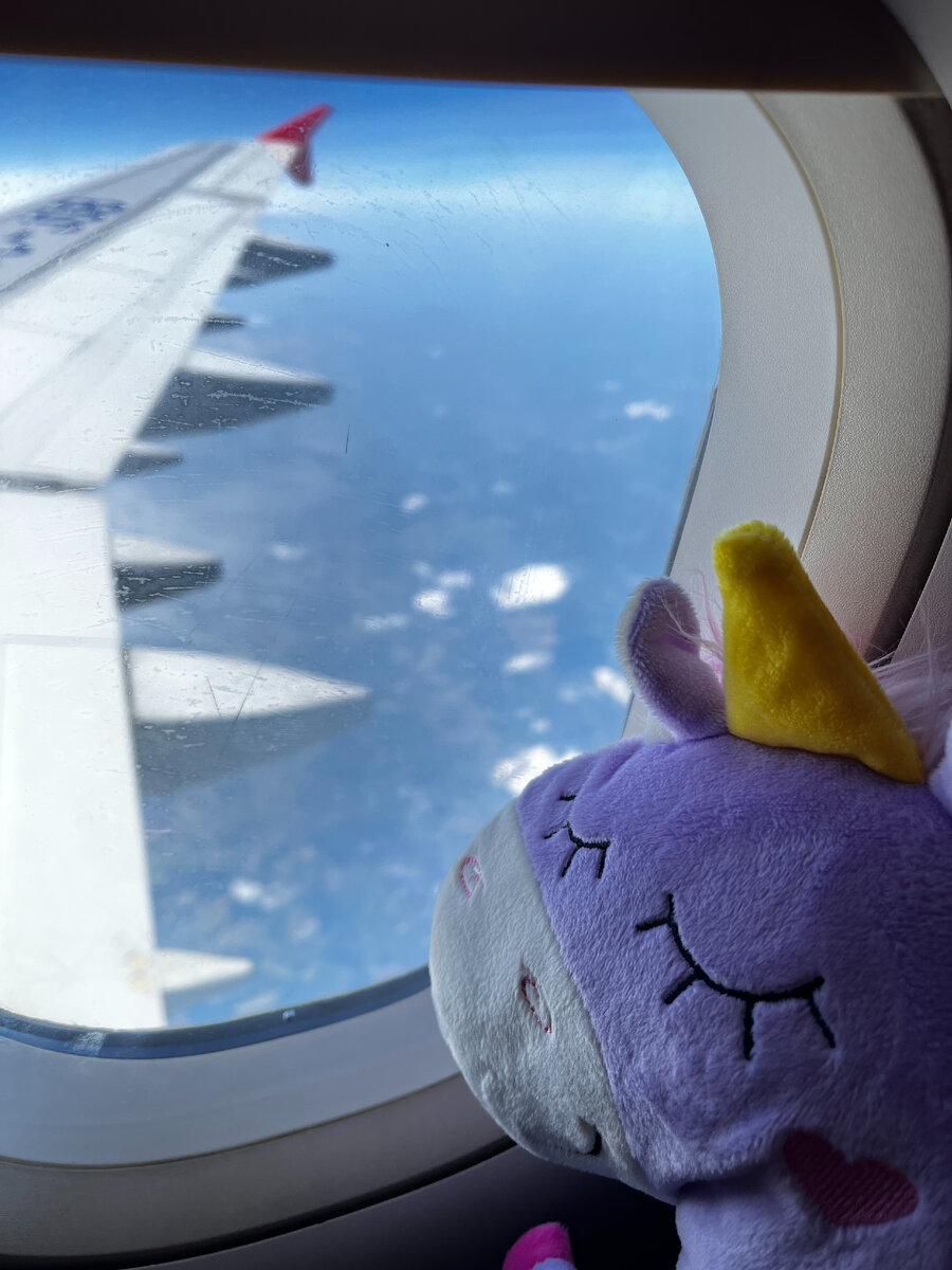 Не тошнило. И то спасибо)