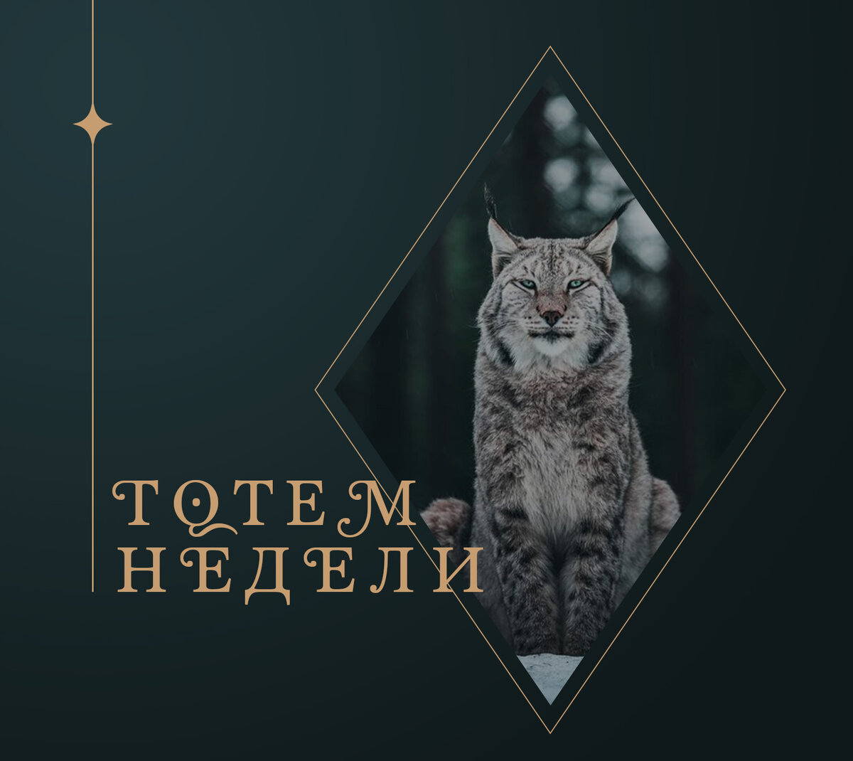 Тотем Рысь | XTAROT | Дзен