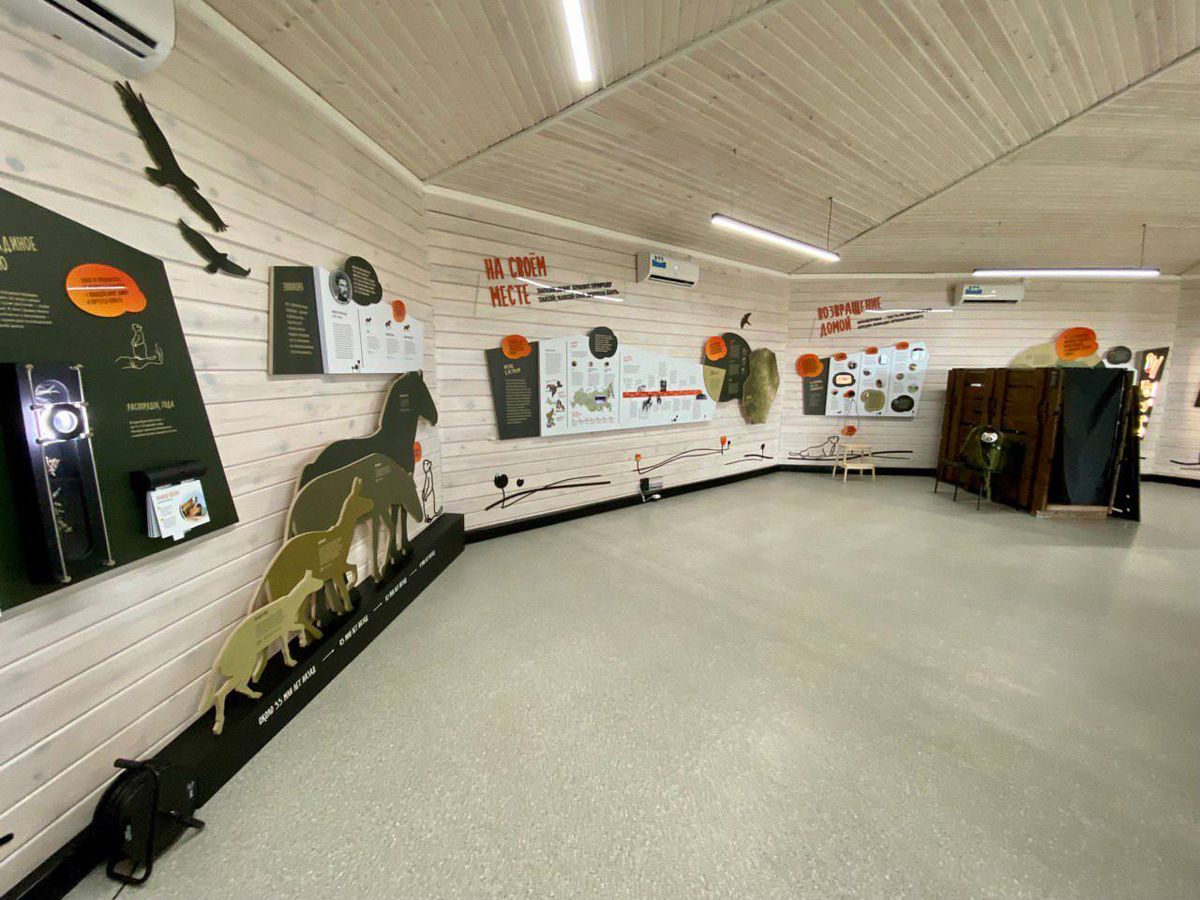 Панорама части экспозиции