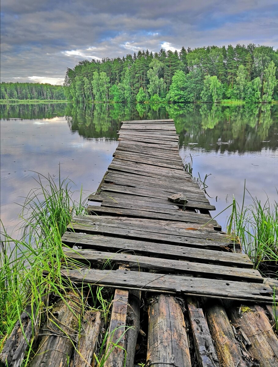 ногинск озеро луковое