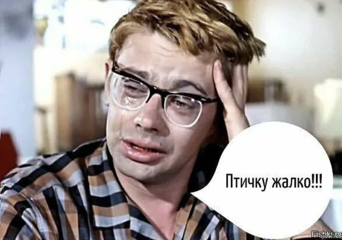 Жалко было глядеть на него. Кавказская пленница птичку жалко. Кавказская пленница Шурик плачет. Шурик птичку жалко. Птицу жалко.