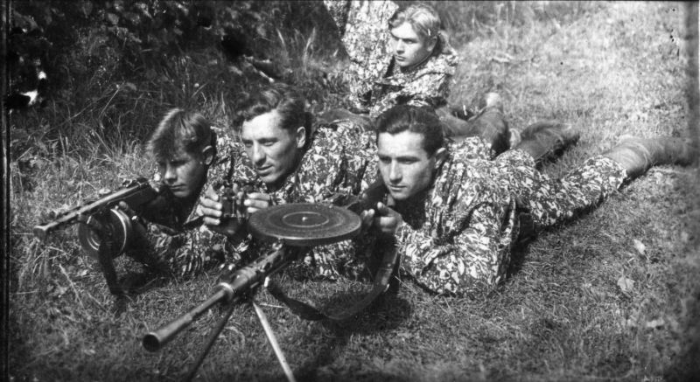 Советская оперативная группа