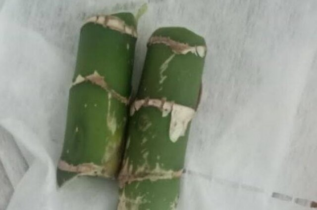    Дети приняли ядовитое растение за бамбук. Фото:  ГУ МВД России по Красноярскому краю