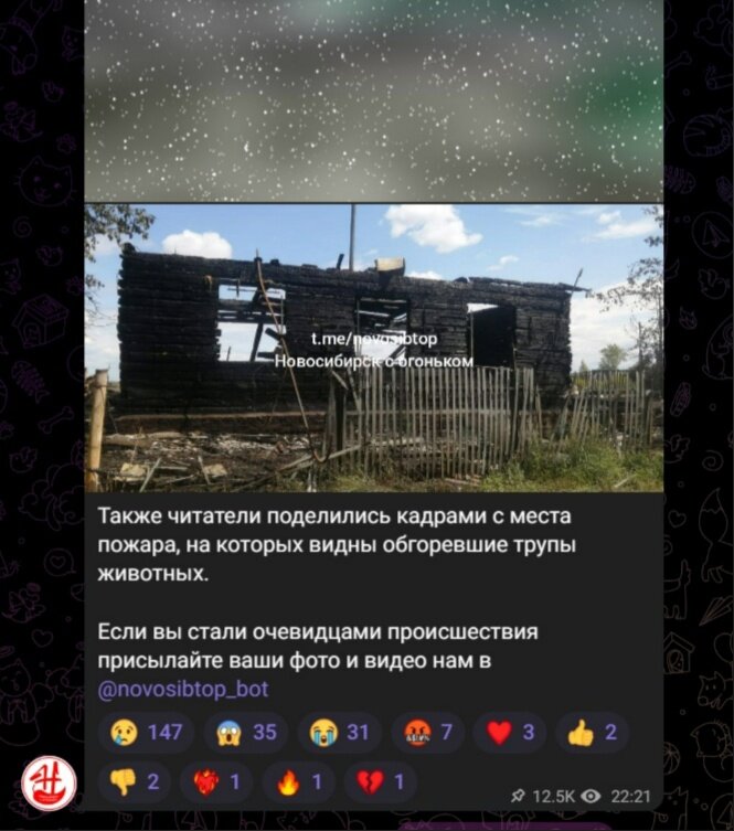 ФОТО: СКРИНШОТ ТЕЛЕГРАМ-КАНАЛ НОВОСИБИРСК С ОГОНЬКОМ