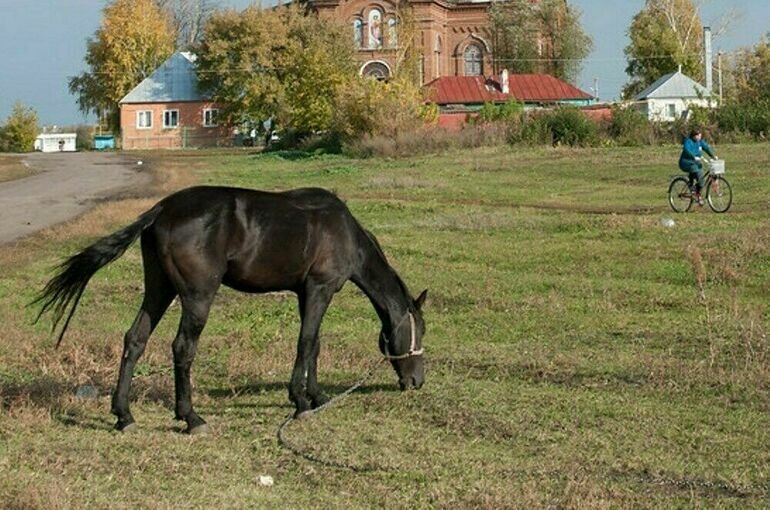   Юрий Инякин/ПГ