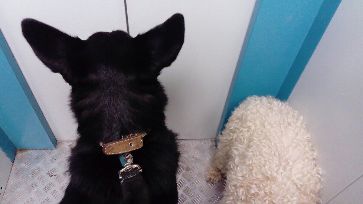 Все фото в тексте — автора