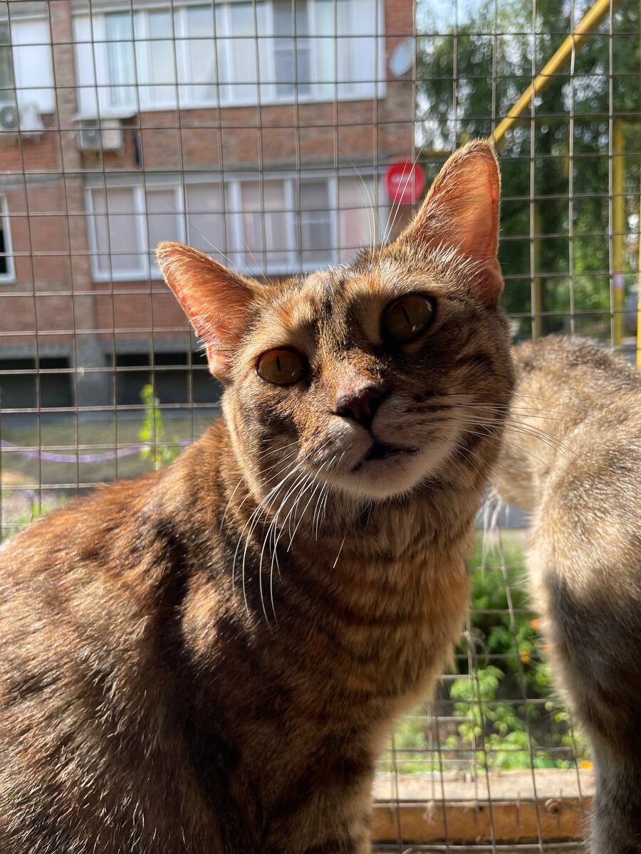 Из личного архива