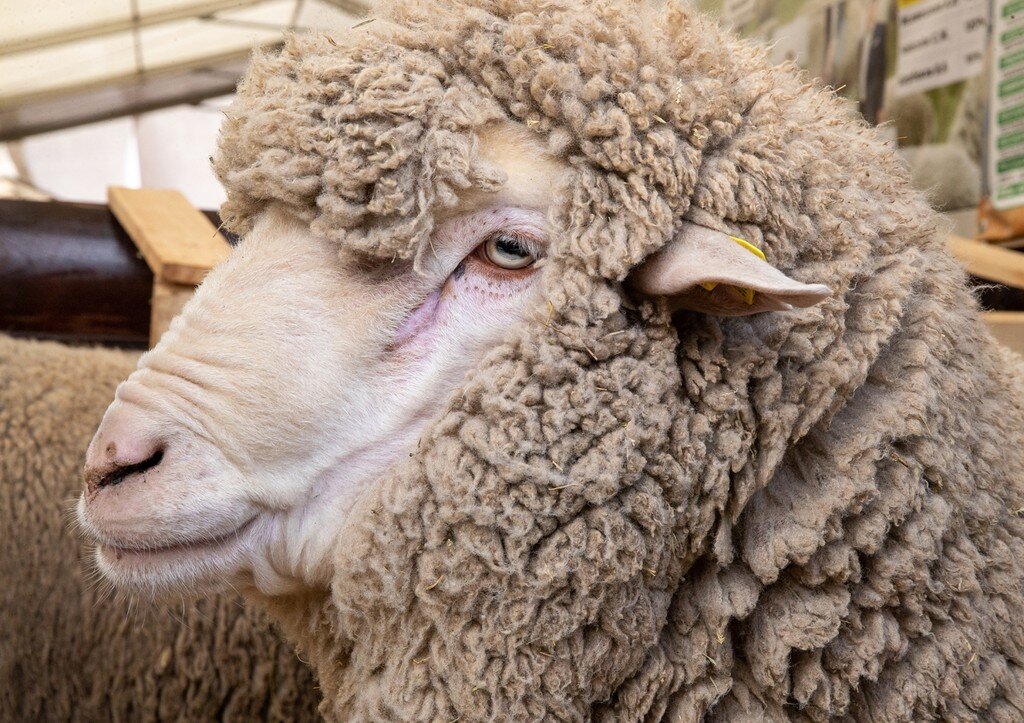 Источник: https://news.ru