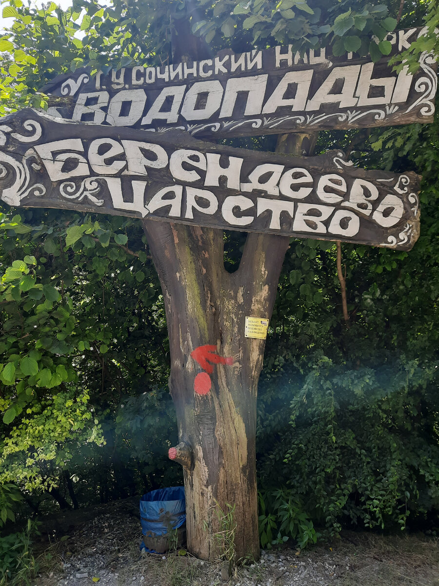 Все фото в статье автора