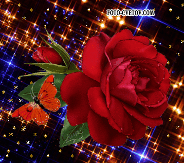 Фото из сети интернет, свободный доступ.