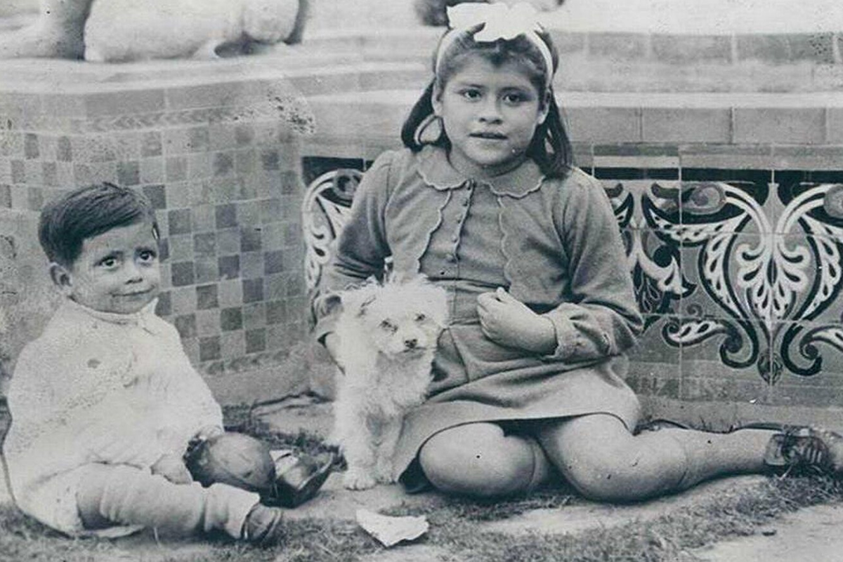 фото в свободном доступе