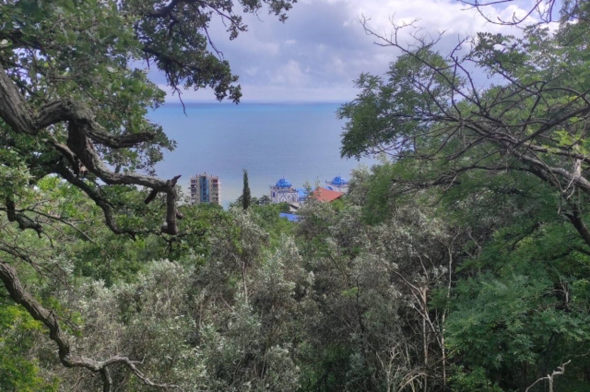    Вид от Юсуповского дворца.