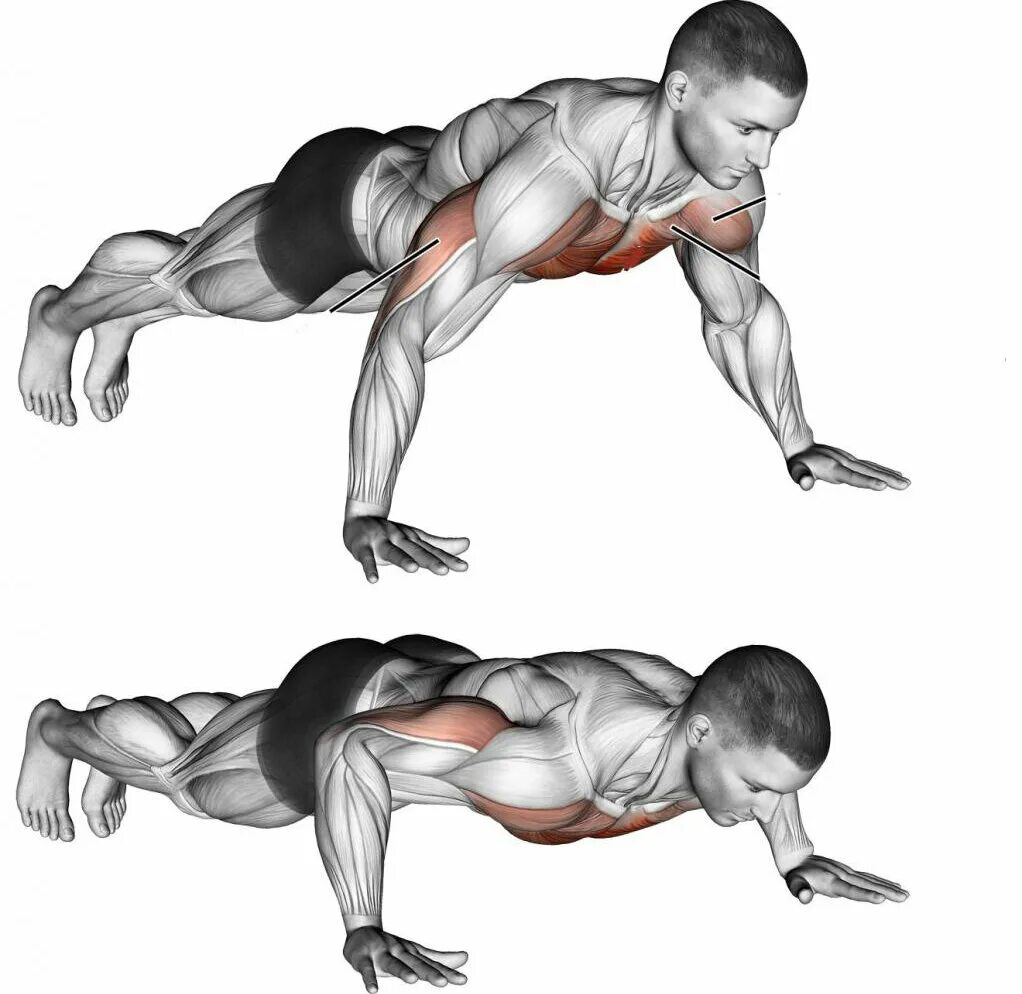 Правильное название отжиманий. Отжимания от пола для грудных мышц для мужчин техника. Схема прокачки грудных мышц отжиманиями. Отжимания анатомия. Отжимания от пола широким хватом.