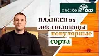 Планкен из лиственницы. Популярные сорта