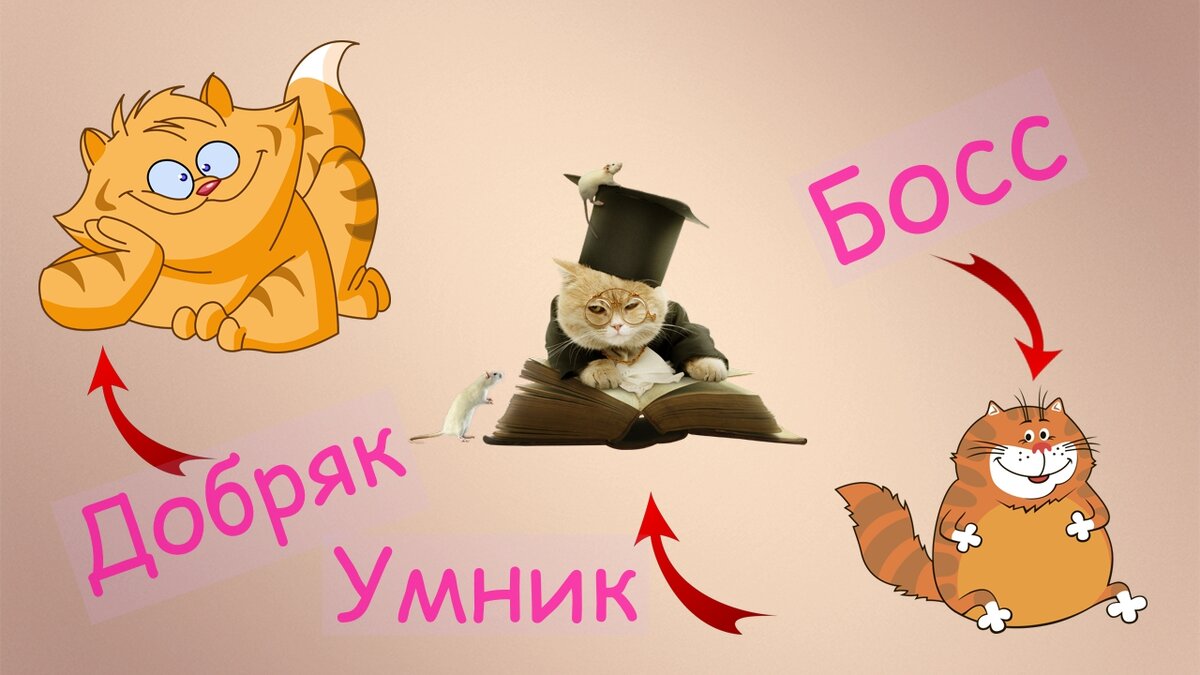 Разумные кошки